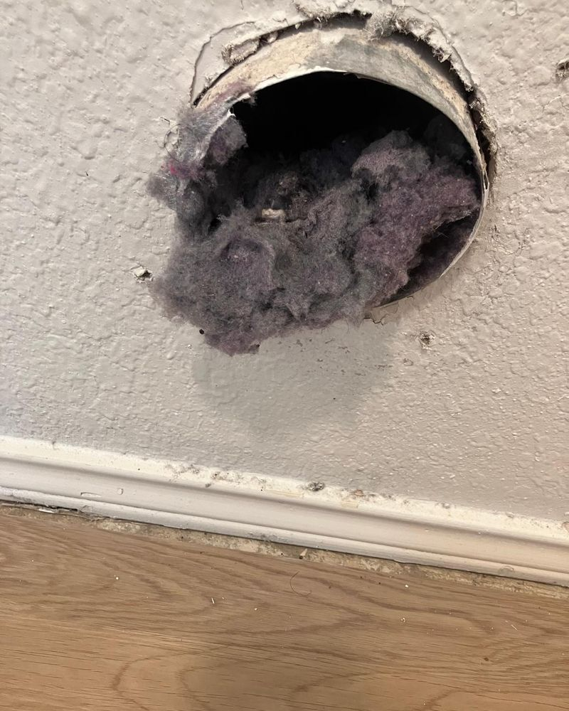 Dryer vent wall opening packed with lint