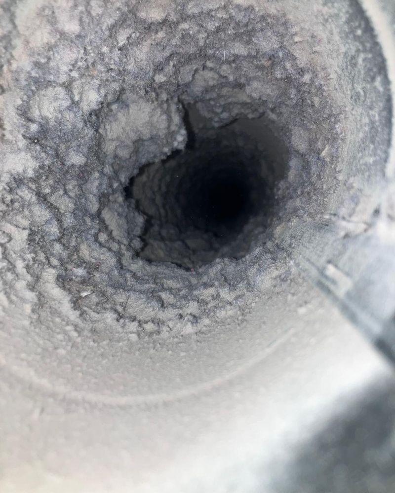 Inside a dryer vent line caked with lint, checked on camera before the written price.
